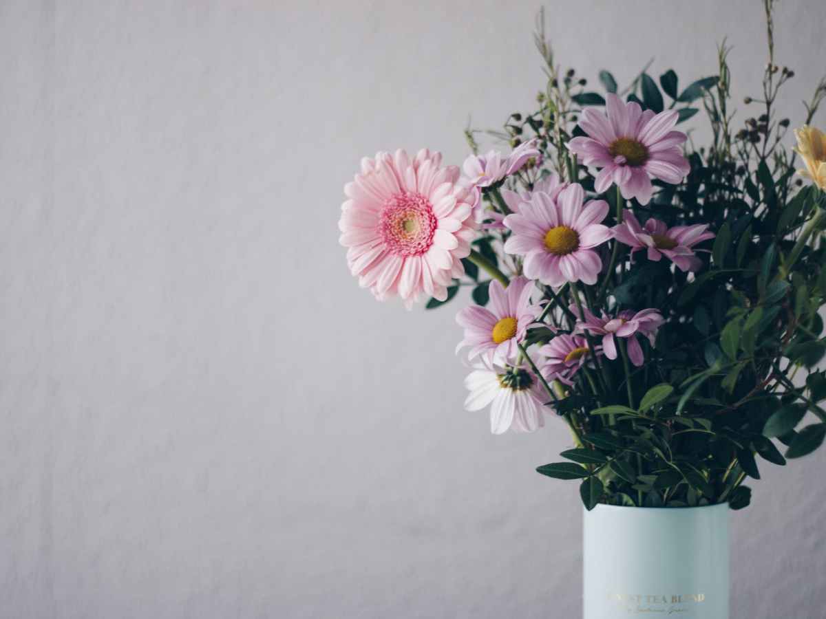 Flower Power – wie Schnittblumen lange frisch&nbsp;bleiben